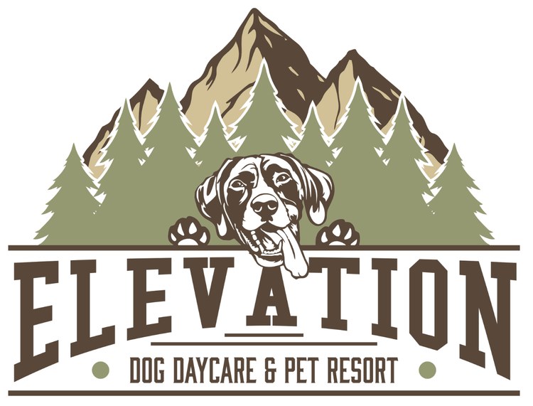 Elevation Pet Resort