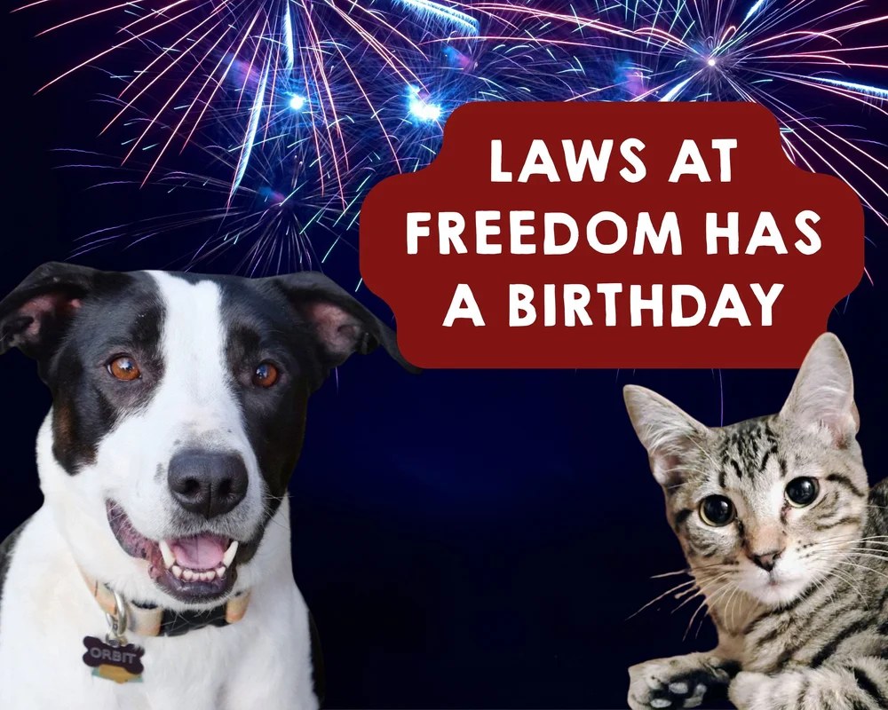 LAWS at Freedom Has a Birthday