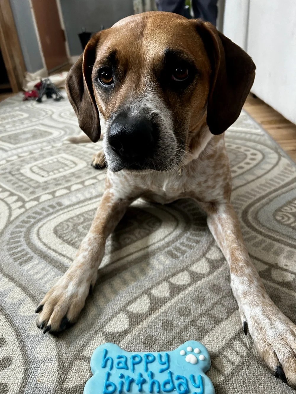 Hopper, a LAWS adoption success story