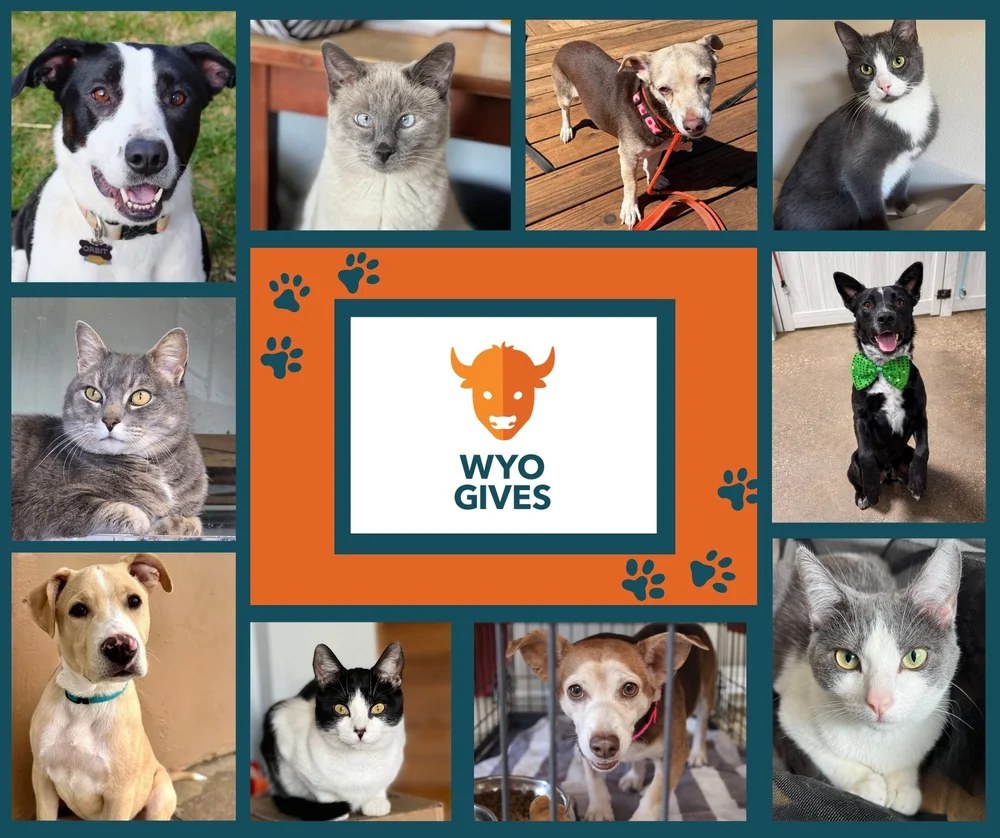 WyoGives Fundraiser for LAWS