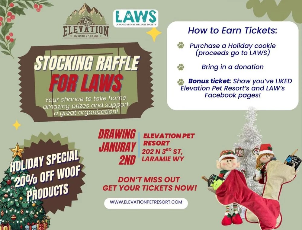 Elevation Pet Resort Stocking Raffle
