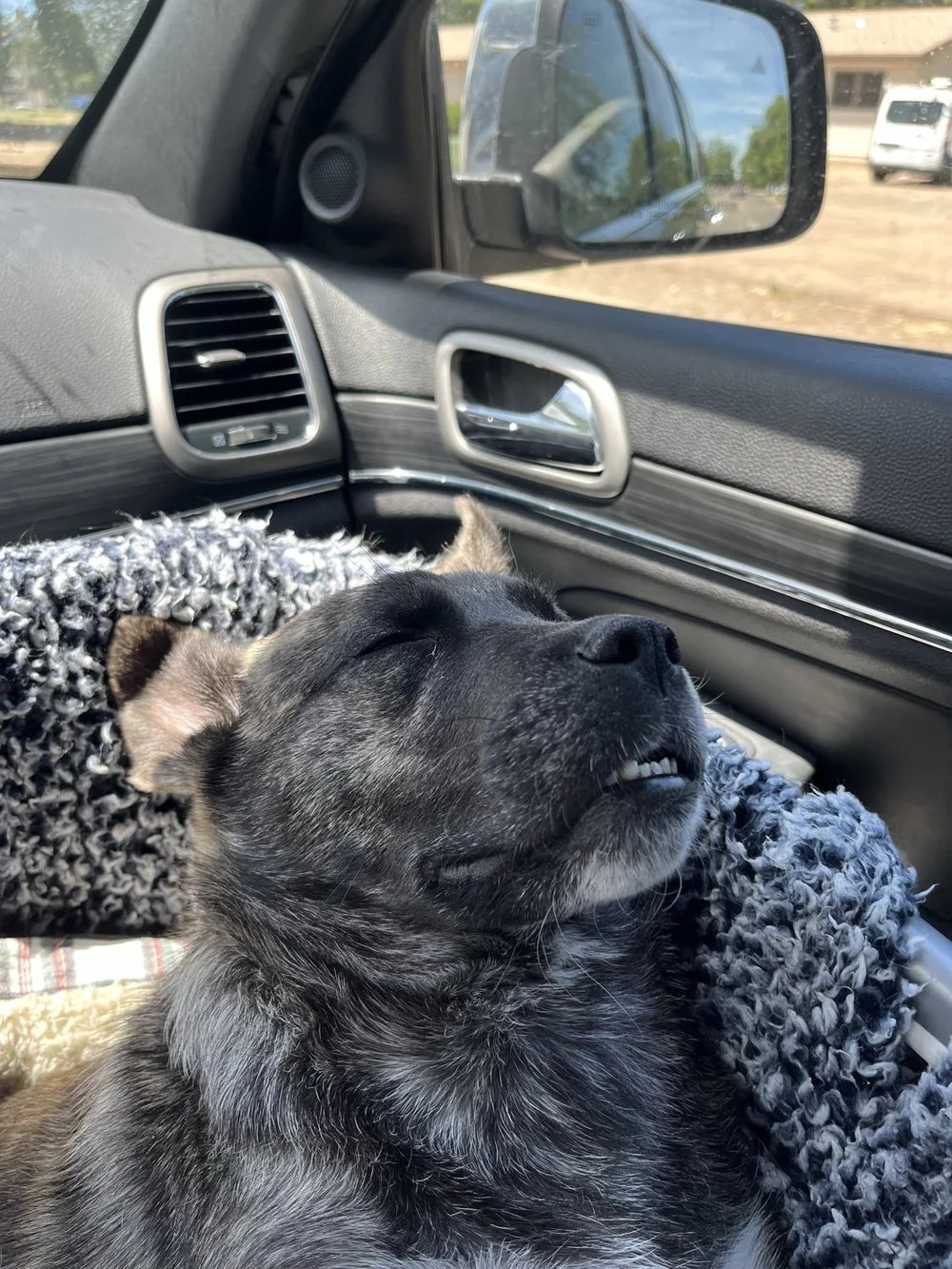 Tough resting