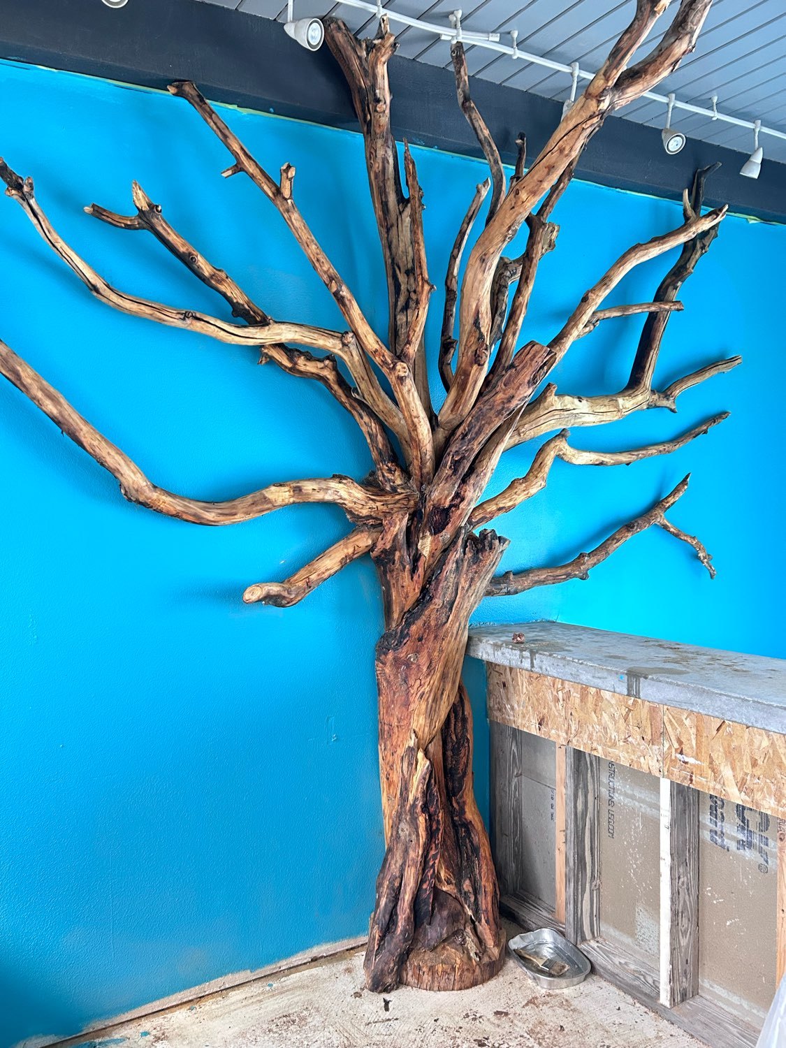 The LAWS Giving Tree at 606 Skyline Road: a hand-built wooden tree mounted on a bright blue wall, bare branches reaching toward the ceiling, waiting for its engraved leaves